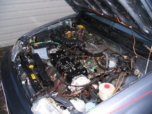 Misty's Civic 012.jpg